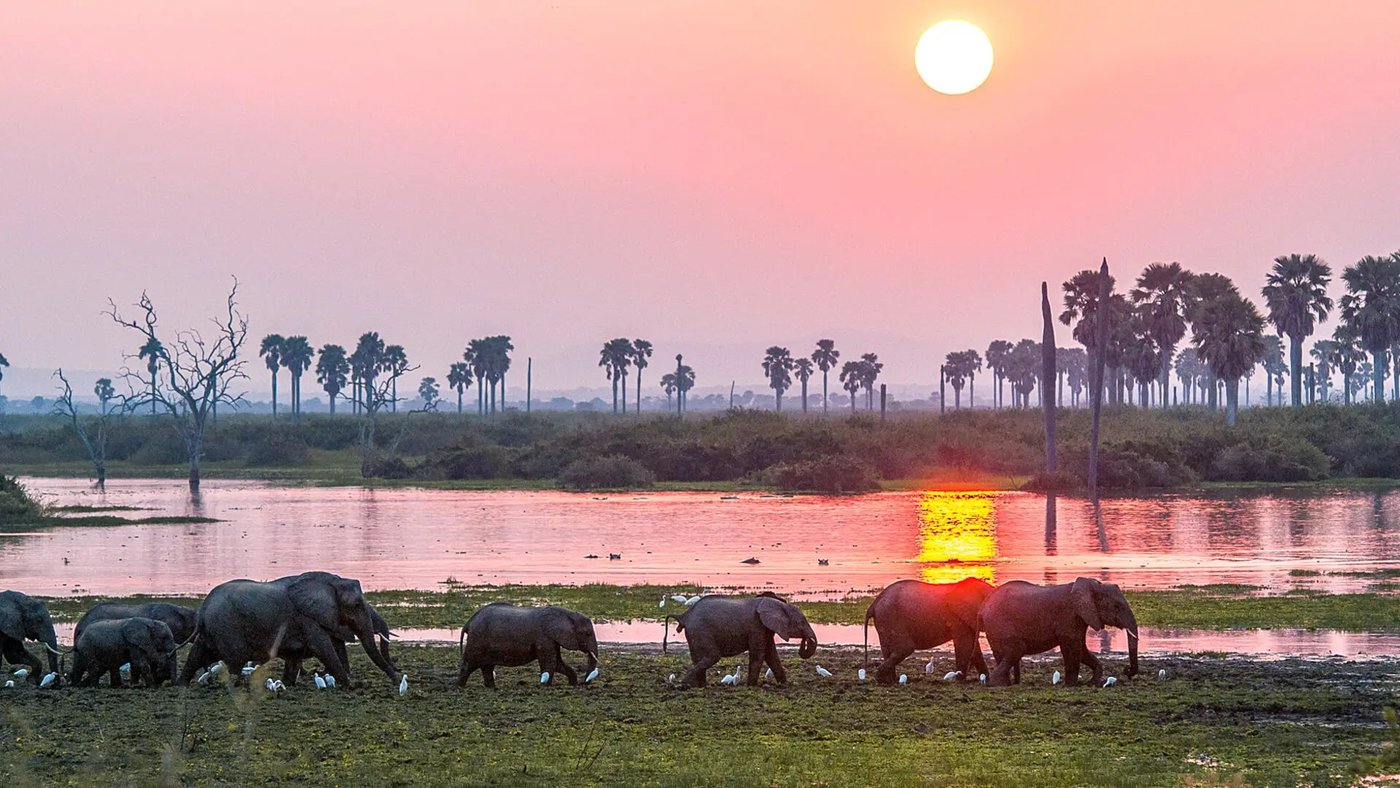 Elefanten weiden neben dem See bei Sonnenuntergang in Roho ya Selous