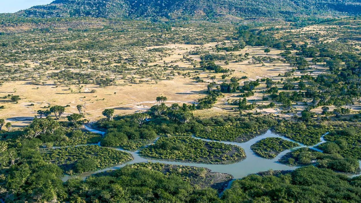 Luftaufnahme des Sees und des umgebenden Waldes bei Roho ya Selous
