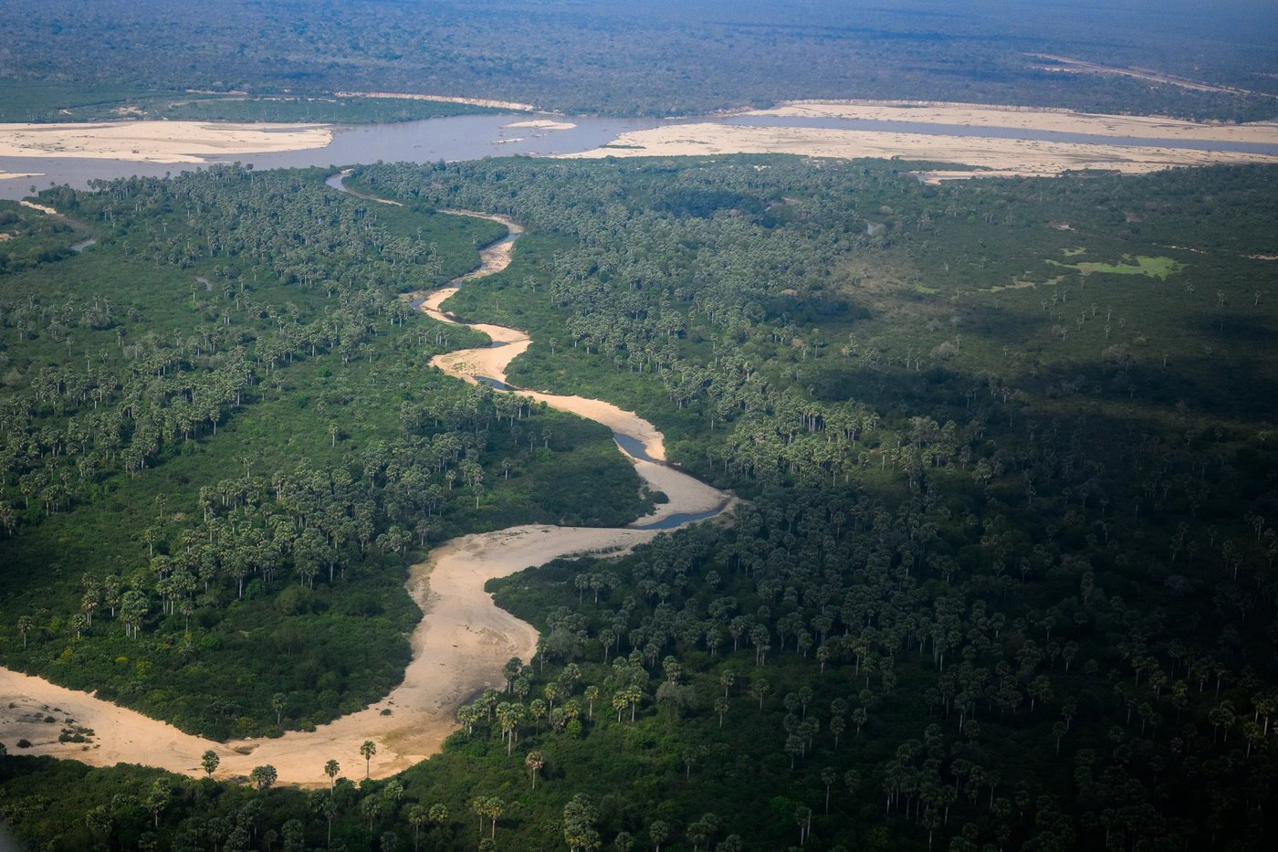 Luftaufnahme des Rufiji sich durch Wald windend in der Nähe von Rufiji River Camp