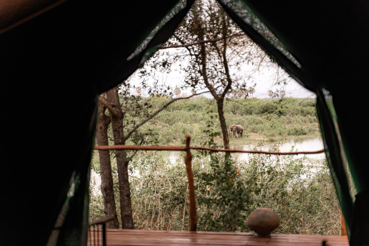 Blick von einem Zelt zum Fluss mit einem Elefanten in der Ferne im Selous Impala Camp.